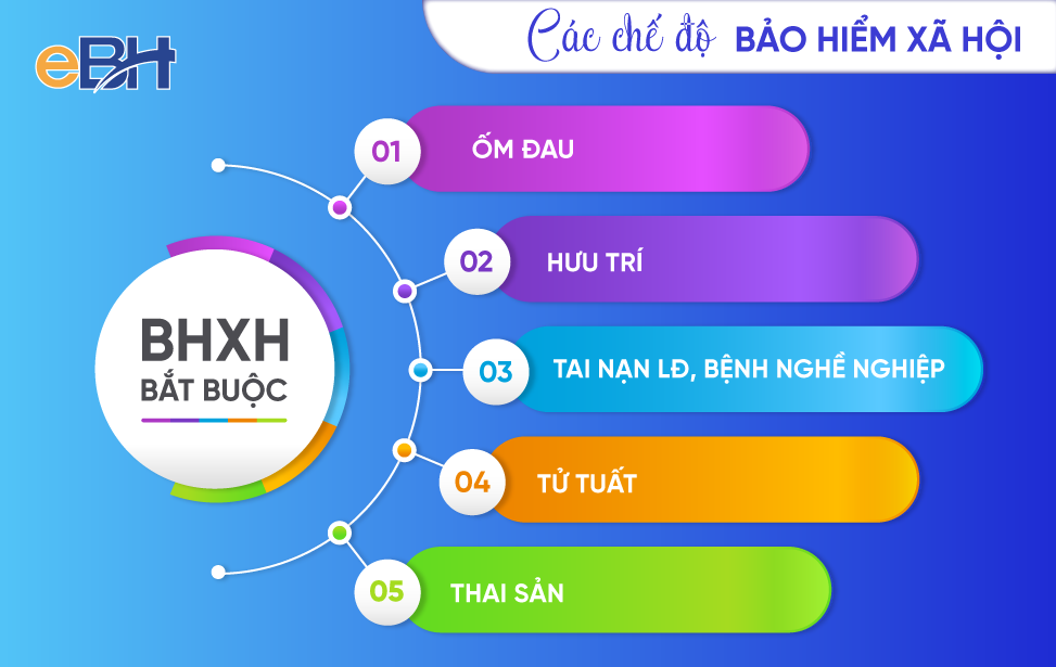 Bảo hiểm xóm hội là gì