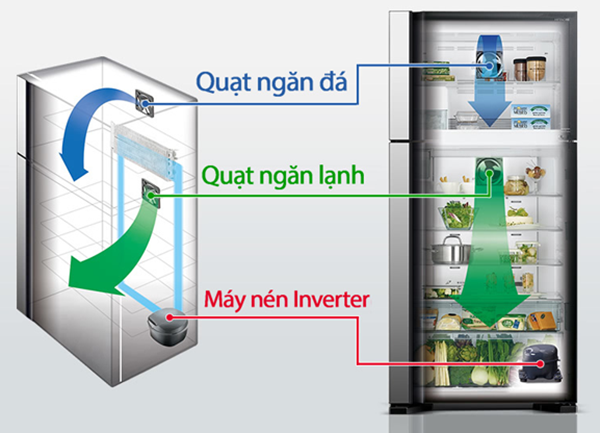 Cấu tạo và nguyên lý buổi giao lưu của tủ lạnh